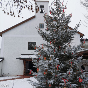 Epiphanias - Christbaum im Schnee