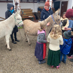 Eselinnen Frieda und Fini besuchen die Emmauskirche